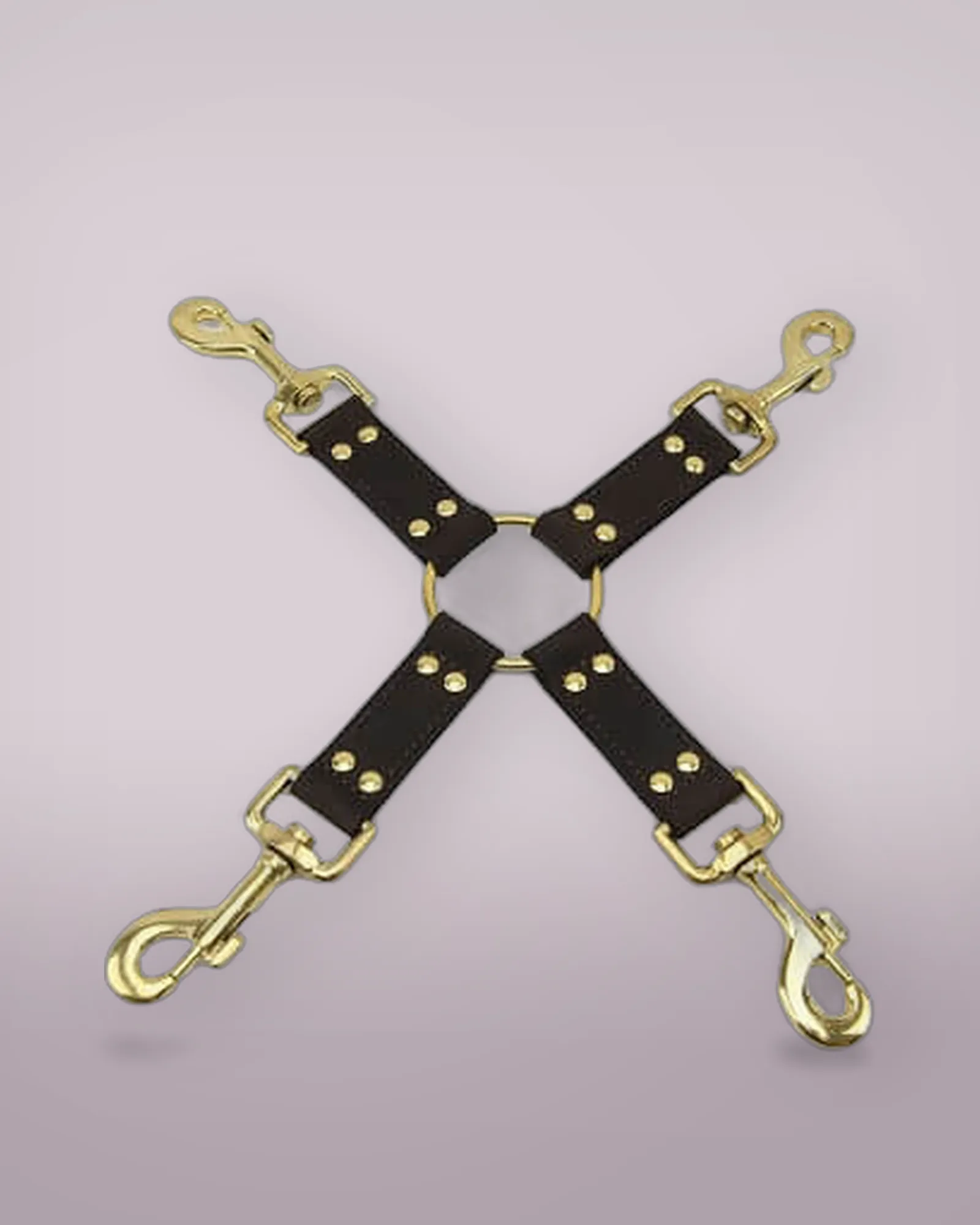 BOUND Nubuck Leather 4 Way Hog Tie