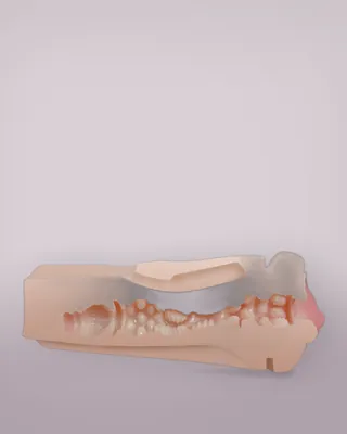Rev-Lite Realistic Vagina Male Masturbator, view 2